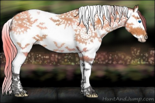 Horse Color:Bay Splash Tobiano