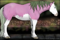 Horse Color:Watercolor Sable Cream Champagne Splash 