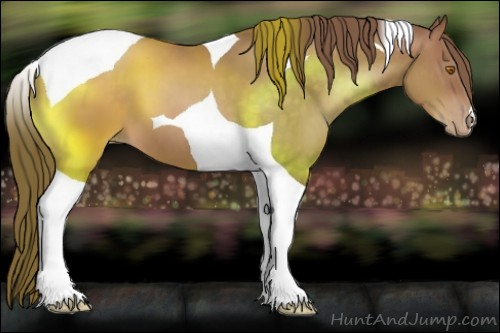 Horse Color:Brown Pearl Tobiano