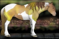 Horse Color:Brown Pearl Tobiano 