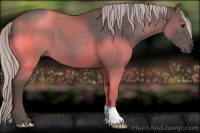 Horse Color:Silver Black 