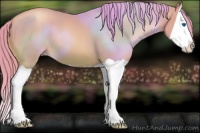 Horse Color:Watercolor Brown Pearl Splash 