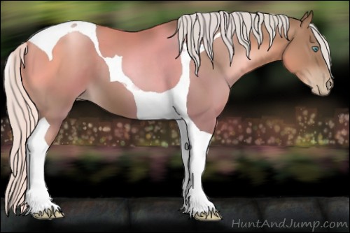 Horse Color:Silver Black Pearl Tobiano 