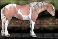 Horse Color:Silver Black Pearl Tobiano 