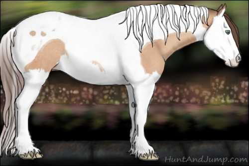 Horse Color:Amber Champagne Splash Tobiano Appaloosa Rabicano