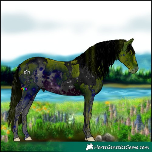 Horse Color:ERROR: UNKNOWN ANOMALY