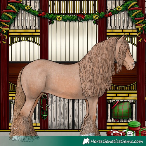 Horse Color:Chestnut Appaloosa 