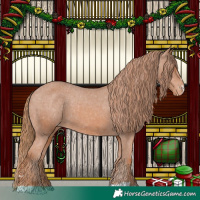 Horse Color:Chestnut Appaloosa 