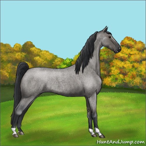 Horse Color:Grullo Roan Mushroom Rabicano