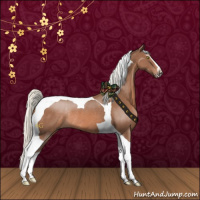 Horse Color:Chestnut Mushroom Sabino Tobiano Rabicano
