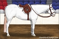Horse Color:Bay Frame Appaloosa Rabicano 