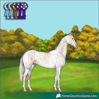 Horse Color:Red Dun Mushroom Tobiano Rabicano  and Liver Red Dun Mushroom Tobiano Blanket Rabicano Brindle 