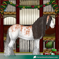 Horse Color:White Spotted Bay Splash  and White Spotted Bay Splash 