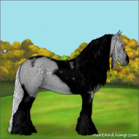 Horse Color:Void Silver Grullo Chinchilla Tobiano 