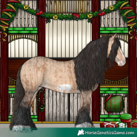 Horse Color:Bay Dun  and Bay Dun Frame 