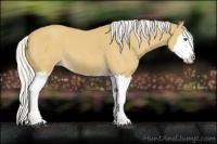 Horse Color:Silver Buckskin Roan Splash 