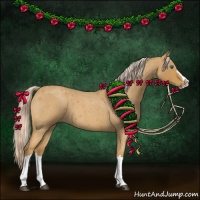 Horse Color:Palomino Roan Splash 