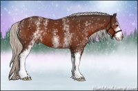 Horse Color:White Spotted Silver Bay 