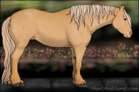 Horse Color:Palomino Varnish 