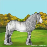 Horse Color:Silver Brown Chinchilla Onyx Splash Brindle