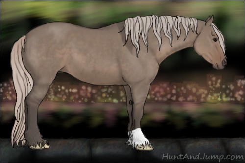 Horse Color:Silver Grullo 
