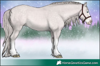 Horse Color:Platinum White Spotted Perlino Splash 