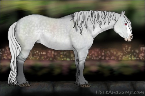 Horse Color:Silver Grullo Chinchilla Splash 