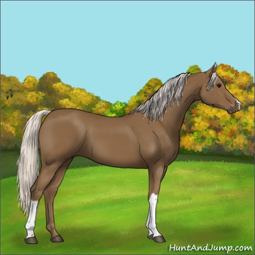 Horse Color:Silver Smoky Black 