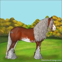 Horse Color:Silver Bay Sabino