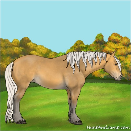 Horse Color:Silver Buckskin 