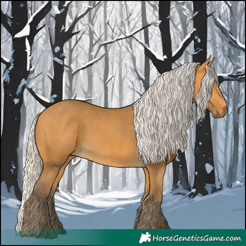 Horse Color:Silver Buckskin 
