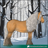 Horse Color:Silver Buckskin 