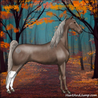 Horse Color:Silver Black 