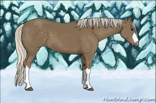 Horse Color:Silver Smoky Black 