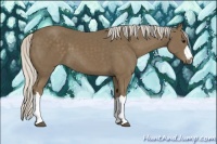 Horse Color:Silver Smoky Black 