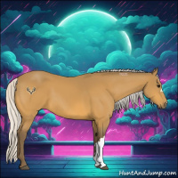 Horse Color:Silver Buckskin 