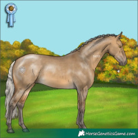 Horse Color:Silver Buckskin Dun 