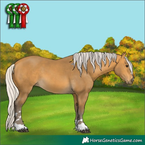 Horse Color:Silver Buckskin 