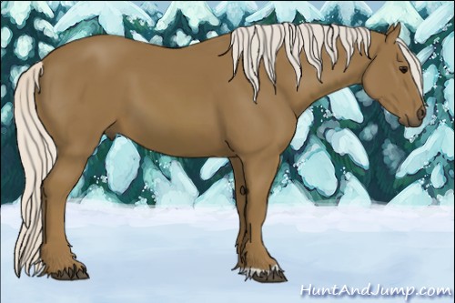 Horse Color:Silver Smoky Black 