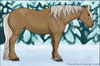 Horse Color:Silver Smoky Black 