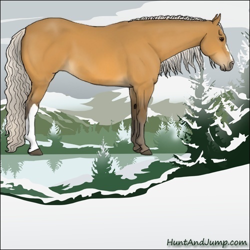 Horse Color:Silver Buckskin