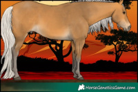Horse Color:Silver Buckskin 