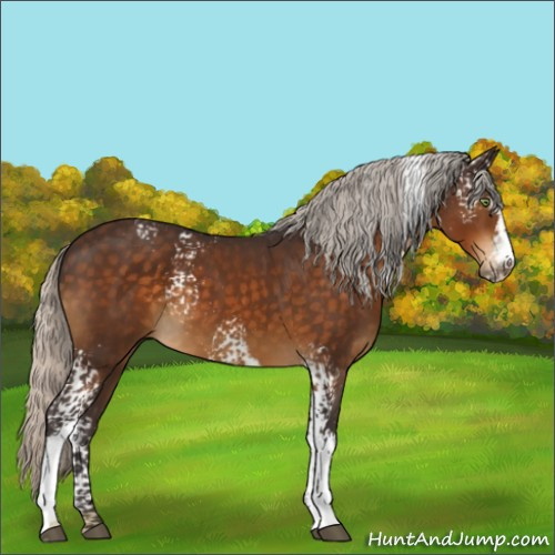 Horse Color:White Spotted Silver Buckskin 