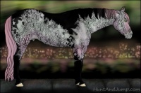 Horse Color:Void Watercolor Gold Champagne Ice Pearl Onyx Sabino Tobiano Rabicano 