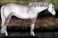Horse Color:Chocolate Silver Blue Onyx Chinchilla 