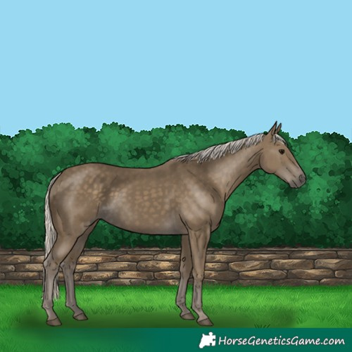 Horse Color:Silver Smoky Black 