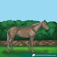 Horse Color:Silver Smoky Black 