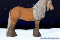 Horse Color:Silver Buckskin 