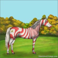 Horse Color:Silver Buckskin 