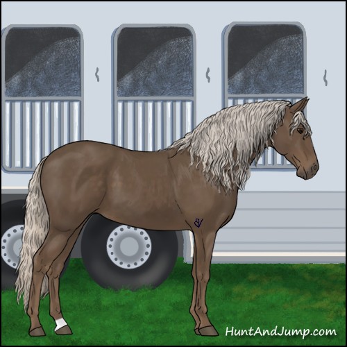 Horse Color:Silver Smoky Black 